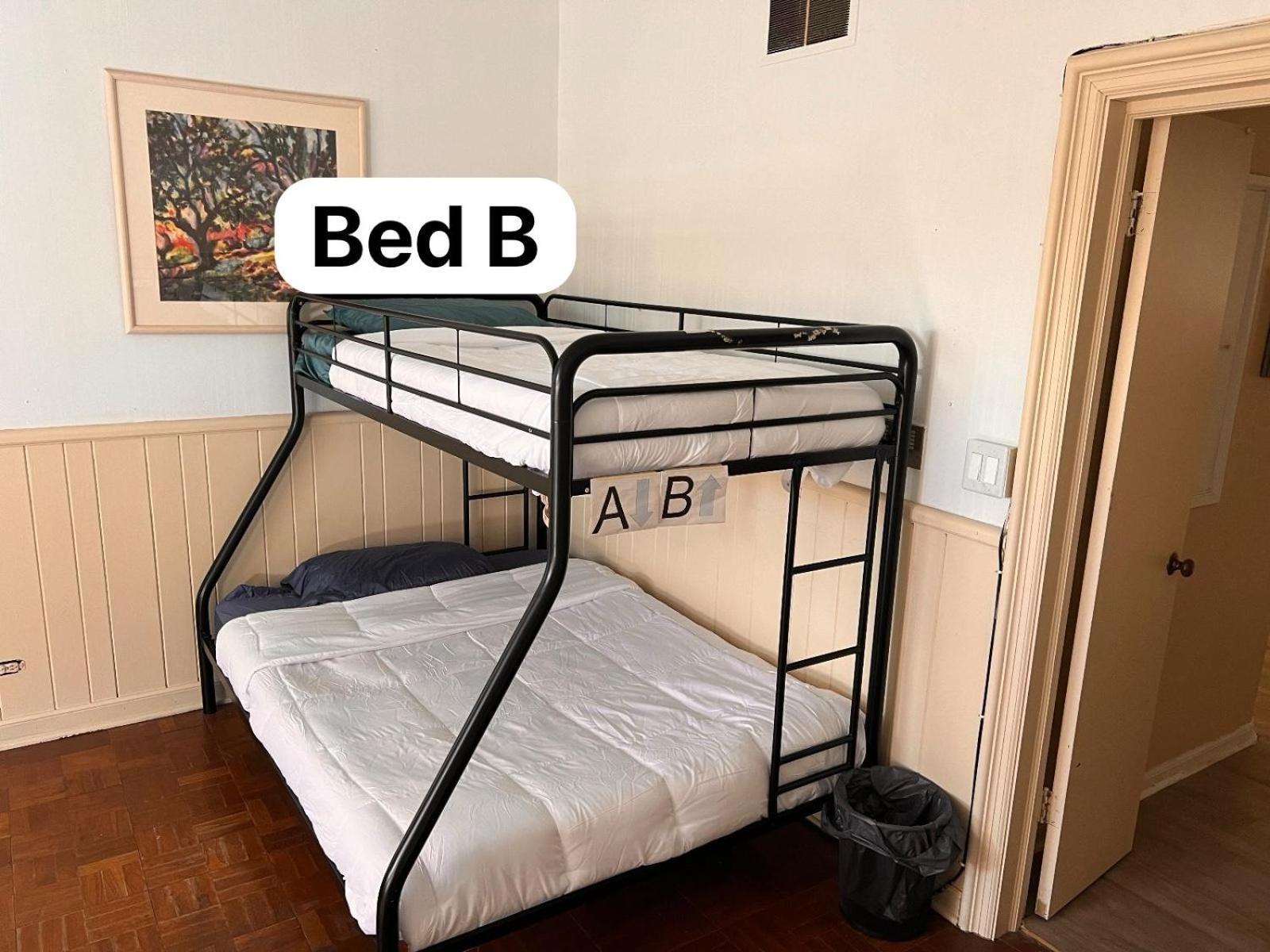 Hostel Pill Hill Mansion Chicago Zewnętrze zdjęcie